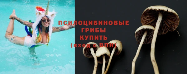 таблы Верея