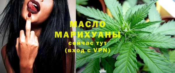 гашик Бородино