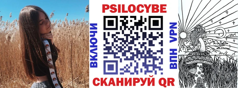 закладка  Киренск  Галлюциногенные грибы Psilocybine cubensis 