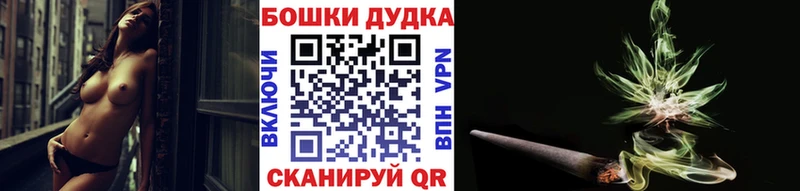 Конопля семена  где найти наркотики  Киренск 